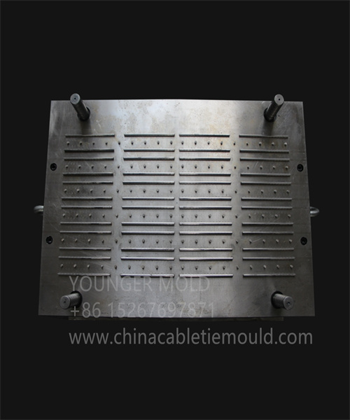 Plastic Cable Clips Mould Supplier